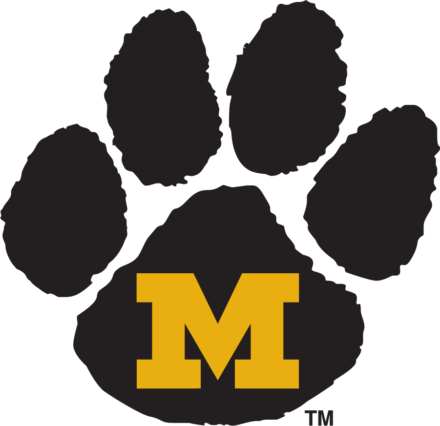 Missouri Tigers 1995-1999 Primary Logo diy iron on heat transfer...